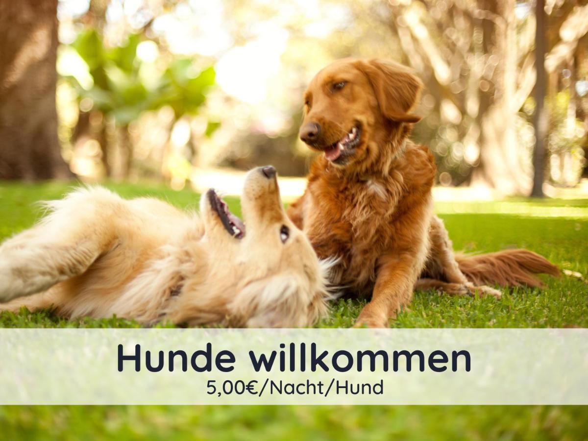 Apartament Der Fuchsbau - Fewo Lepetit - Im Sonnigen Harz - Hunde Willkommen - 100M Bis Zum Wald - Free Wlan Bad Sachsa Zewnętrze zdjęcie