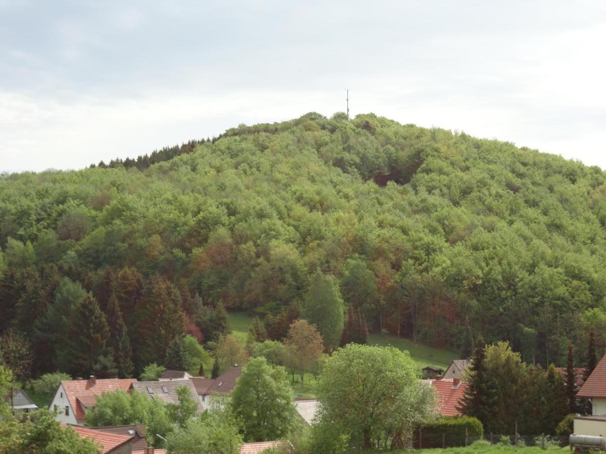 Apartament Der Fuchsbau - Fewo Lepetit - Im Sonnigen Harz - Hunde Willkommen - 100M Bis Zum Wald - Free Wlan Bad Sachsa Zewnętrze zdjęcie