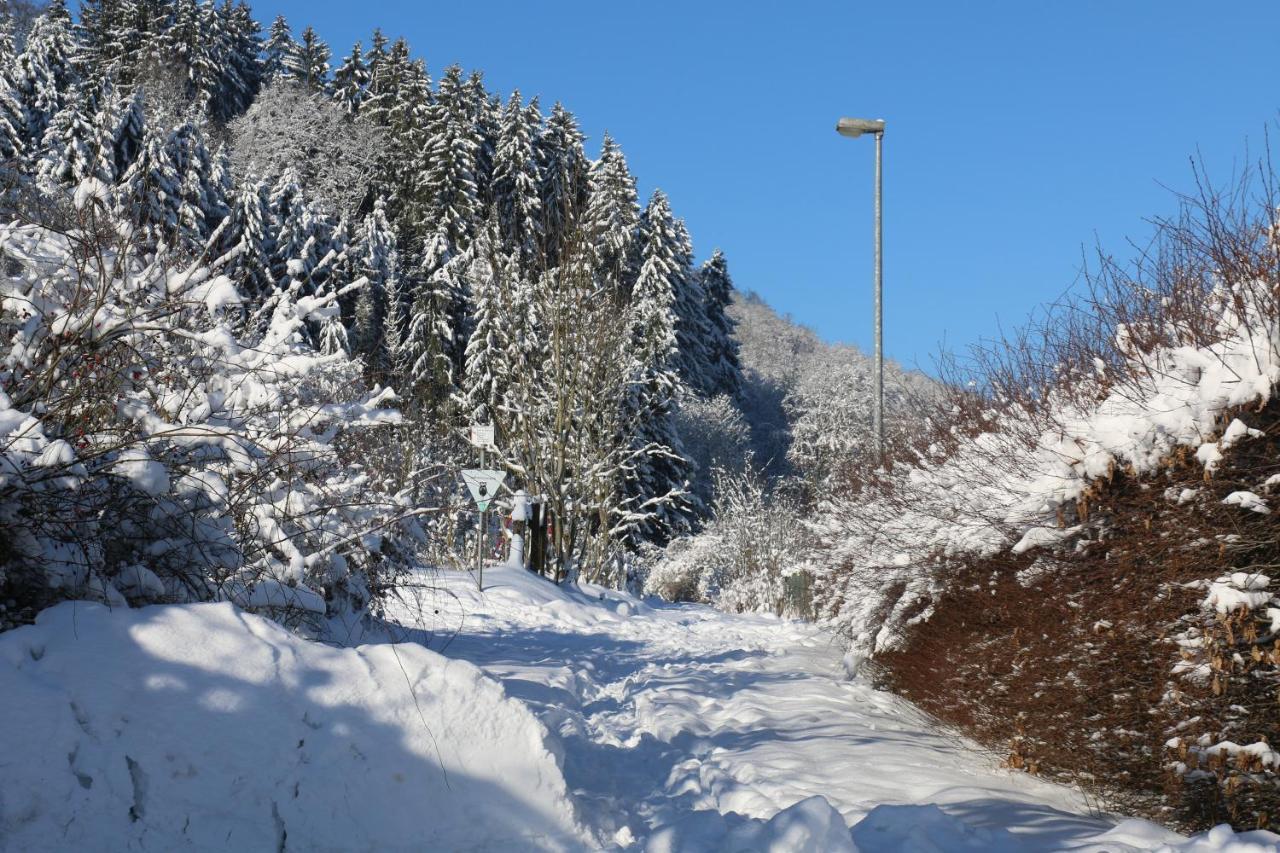 Apartament Der Fuchsbau - Fewo Lepetit - Im Sonnigen Harz - Hunde Willkommen - 100M Bis Zum Wald - Free Wlan Bad Sachsa Zewnętrze zdjęcie